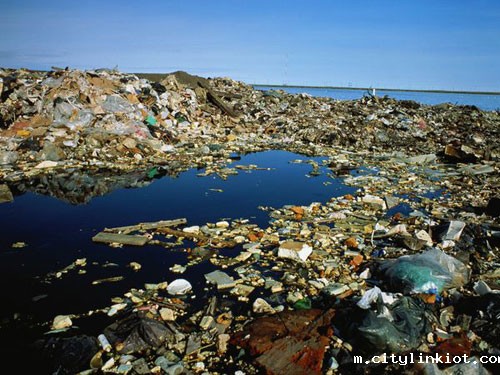 海洋生态面临大劫 塑料垃圾数量将超鱼类总和