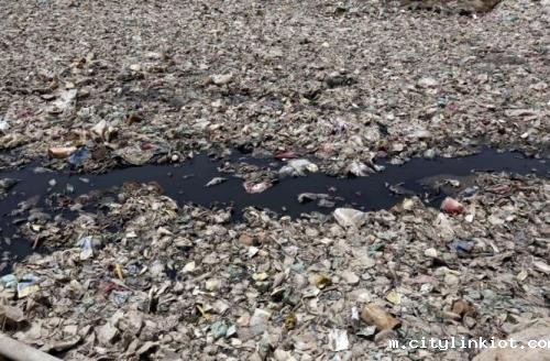 地球迈向“塑料星球” 67年产逾91亿吨塑料垃圾