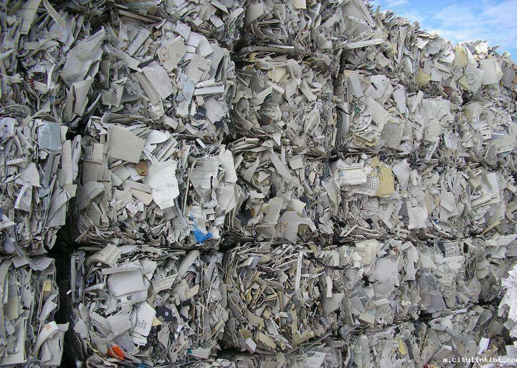 国内外“暖风”齐拂 废纸回收市场有望再提速