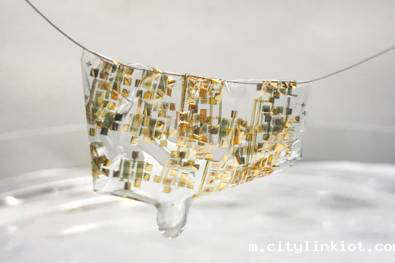 可降解电子材料,减少全球电子垃圾