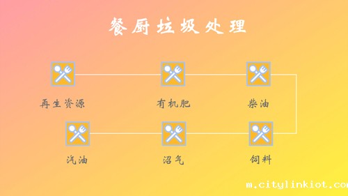 餐厨垃圾因地制宜 实现资源再利用