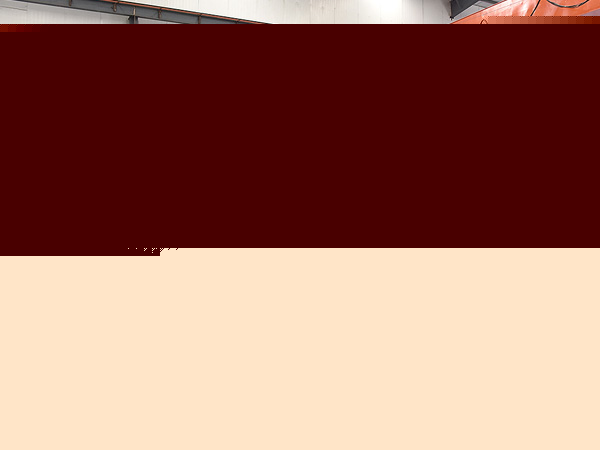 河南撕碎机最好的厂家报价多少钱?