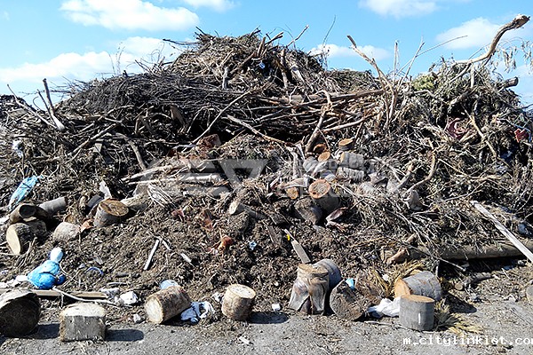 木材综合破碎机多少钱一台?木材破碎机图片及价格