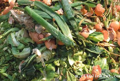 南宁市垃圾处理设备餐厨破碎项目