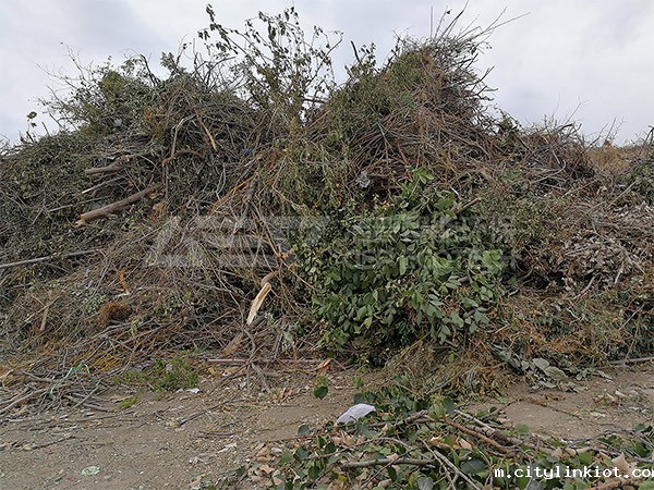 园林华体会·(hth)体育项目案例,园林垃圾处理项目方案